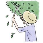 空き家の管理の内容は、手軽な屋外管理が約８割